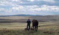 USA-New Mexico-New Mexico Cowboy Week